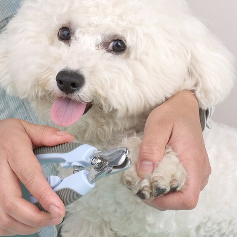 반려연구소 강아지 발톱깎이 고양이 손톱깎기, 그린, 1개
