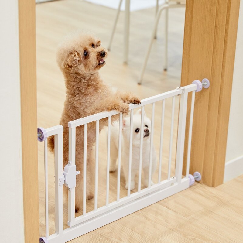 세이펫 42cm 안전문, 2세대-42cm안전문(웜톤)-소형, 1개