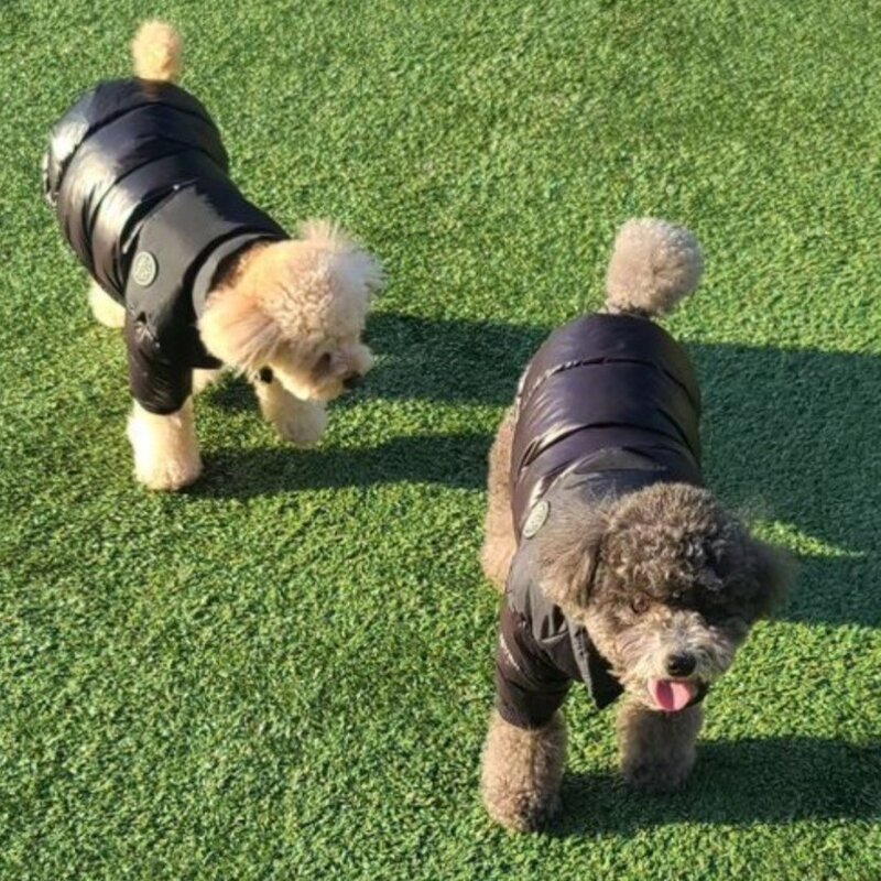 멍템 히트 패딩, 블랙, 1개