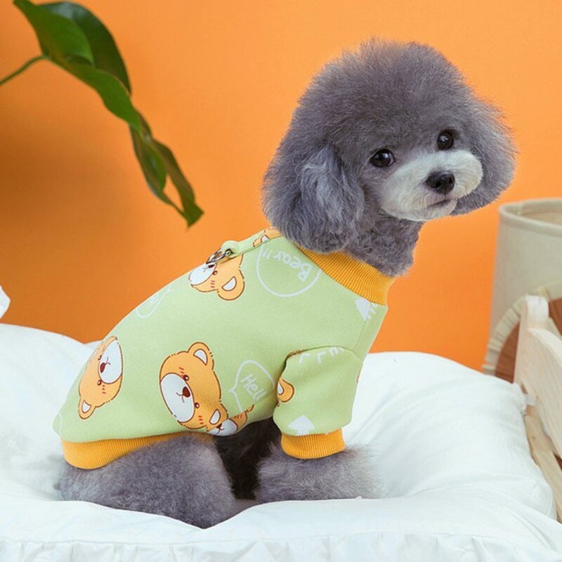 딩동펫 강아지 헬로 베어 티셔츠, 스카이