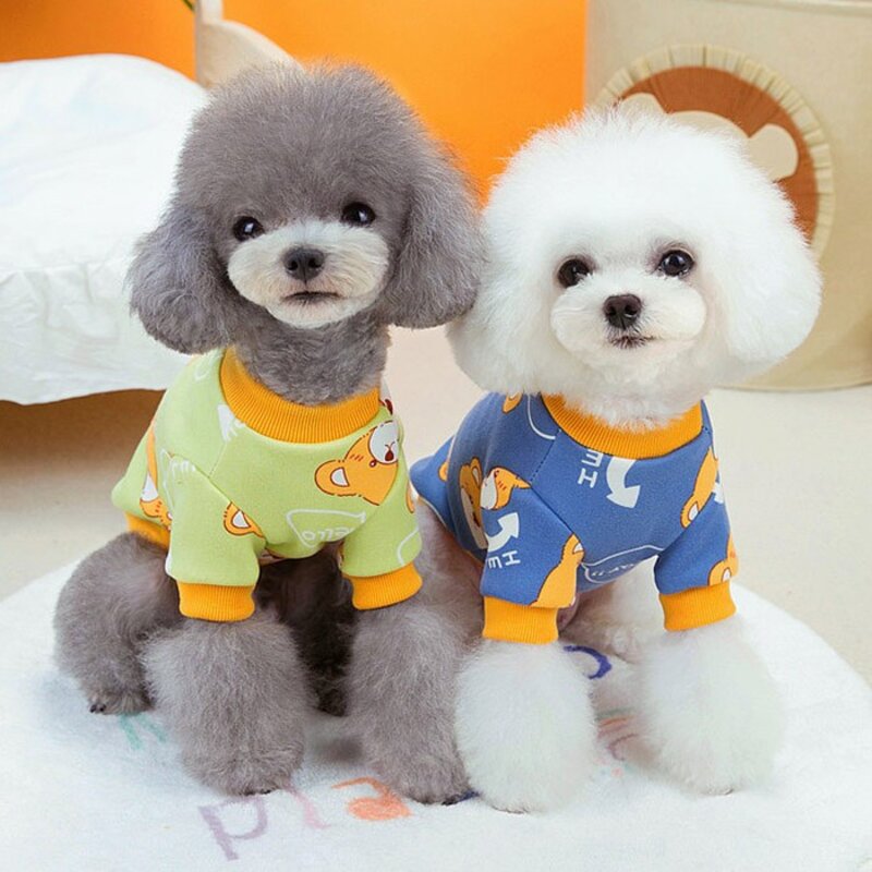 딩동펫 강아지 헬로 베어 티셔츠, 스카이