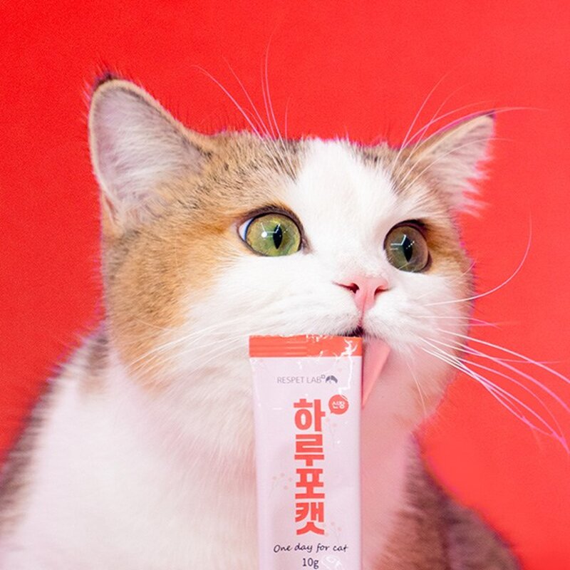 리스펫랩 고양이 하루포캣 신장 영양제, 1개, 유리너리+신장, 혼합맛(닭고기/연어)