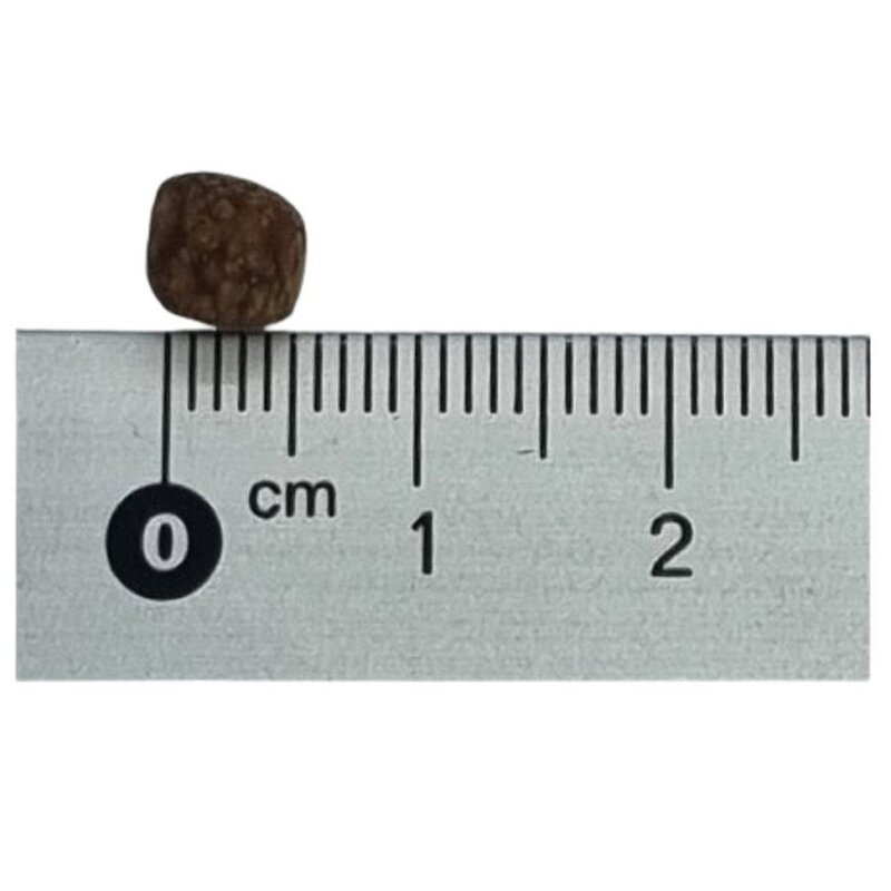 구딘 대형 잉어사료, 1개, 1kg