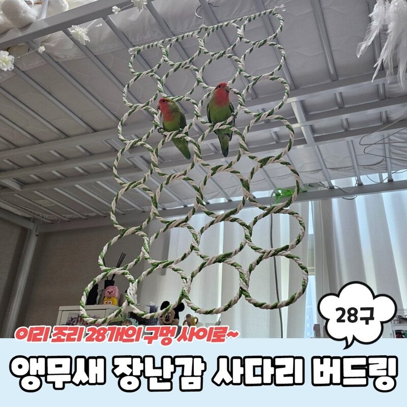마루오피스_ 앵무새 운동용품 _ 펄프 앵무새 장난감 버드링 횟대 놀이터 횃대 사다리 등반 그물 유격 애완조 새 용품 필수템 원형 28구, 1개, 랜덤색상