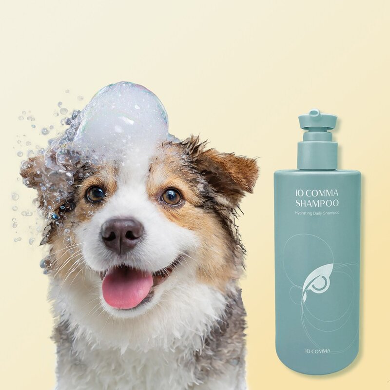 강아지 샴푸 올인원 얼굴 발 비듬 각질 습진 아토피 저자극 천연 세정 보습 케어, 1개, 290ml