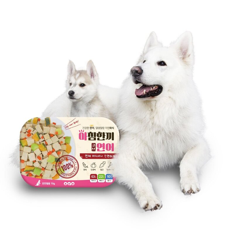 오아오 강아지 전연령용 아침한끼 큐브 연어 습식사료, 70g, 3개