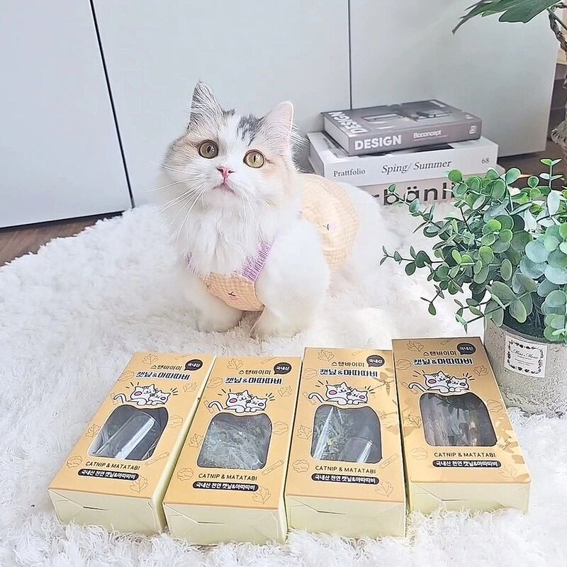STANDBYME 고양이 캣닢 & 마따따비 3종 세트, 1세트