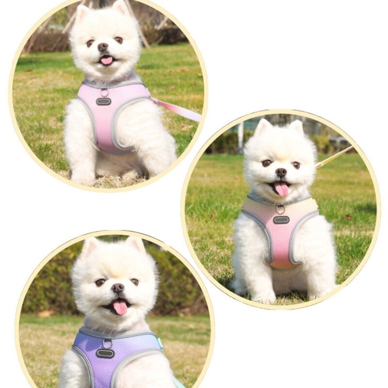 디아쿠아 강아지 고양이 겸용 그라데이션 프리티 하네스+리드줄, 퍼플블루, 1개