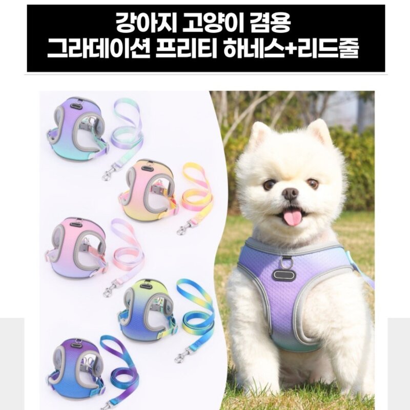 디아쿠아 강아지 고양이 겸용 그라데이션 프리티 하네스+리드줄, 퍼플블루, 1개