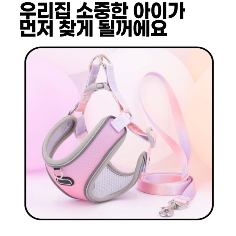 디아쿠아 강아지 고양이 겸용 그라데이션 프리티 하네스+리드줄, 퍼플블루, 1개