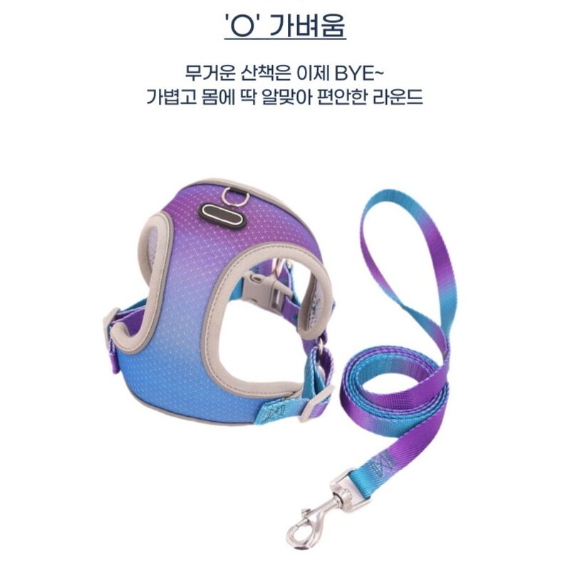 디아쿠아 강아지 고양이 겸용 그라데이션 프리티 하네스+리드줄, 퍼플블루, 1개