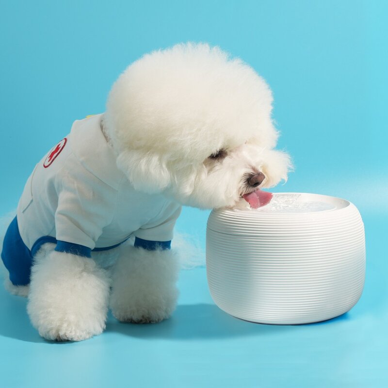 페키움 고양이 강아지 정수기 자동 급수기 저소음 올인원 세트, 1세트