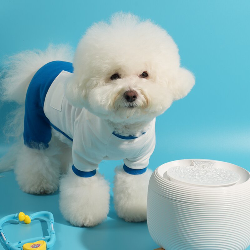 페키움 고양이 강아지 정수기 자동 급수기 저소음 올인원 세트, 1세트