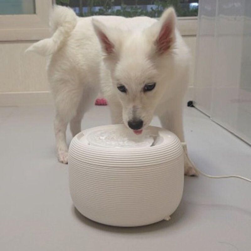 페키움 고양이 강아지 정수기 자동 급수기 저소음 올인원 세트, 1세트