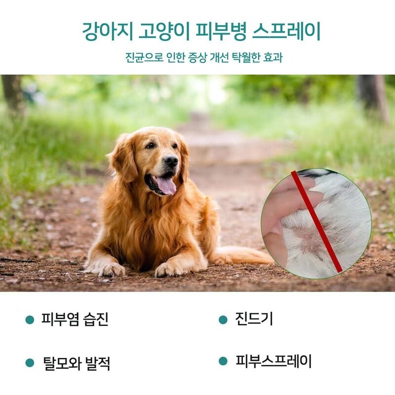 반려동물 강아지 고양이피부병스프레이 피부사상균증 곰팡이성피부염 농피증 가려움증 습진, 1개, 30ml