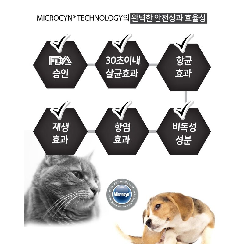 강아지 고양이 뿌리는 치약 구내염 잇몸염증 구강 스프레이 청결제 치석제거 입냄새 제거, 1개, 120ml