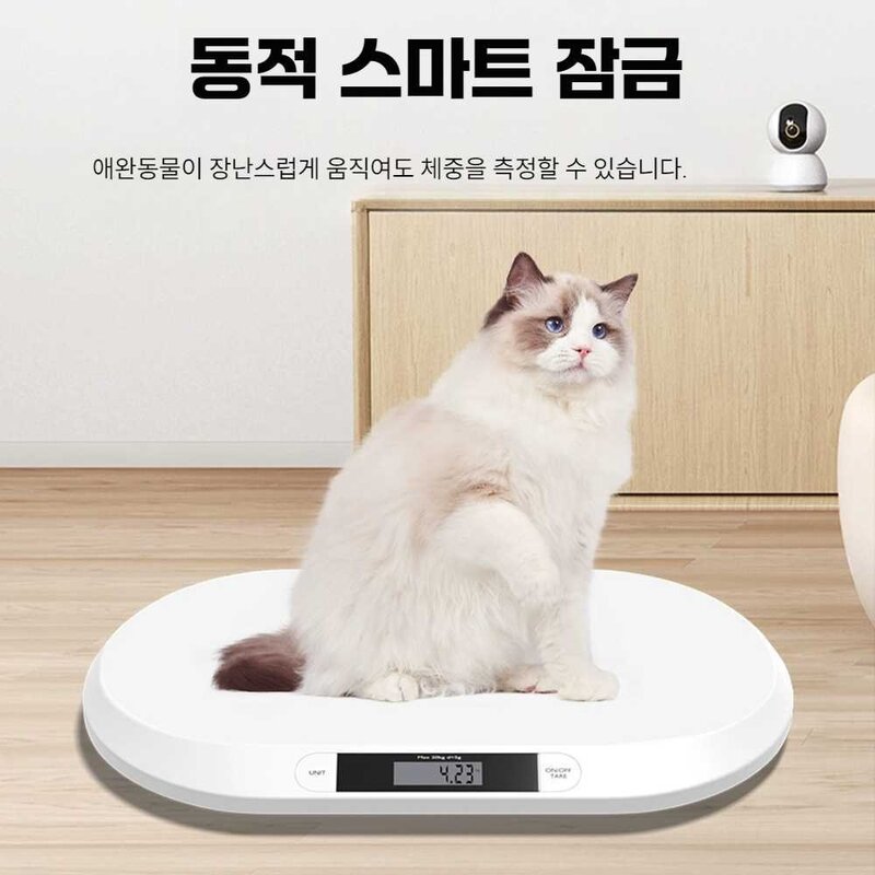 체중계 동물병원 중소형견 몸무게 측정기 반려견, 화이트, 1개