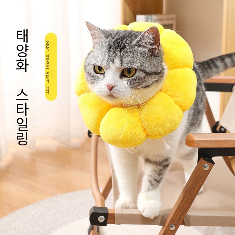해바라기 엘리자베스 칼라 애완 동물 목걸이 고양이 엘리자베스 목걸이 개 목걸이 멸균 방지 핥기 헤드 기어, S, 1개