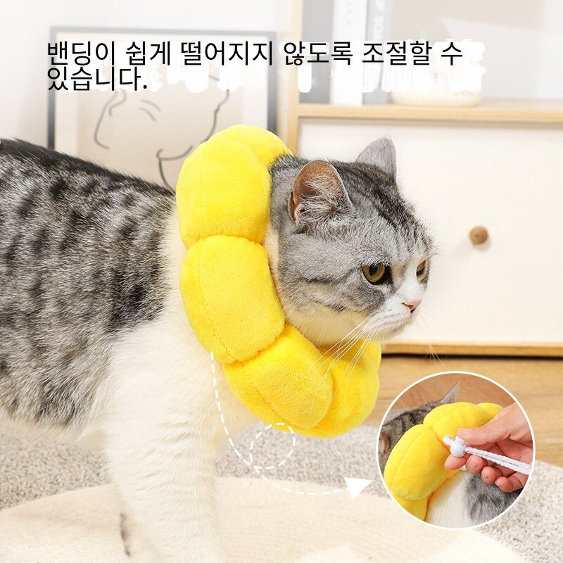 해바라기 엘리자베스 칼라 애완 동물 목걸이 고양이 엘리자베스 목걸이 개 목걸이 멸균 방지 핥기 헤드 기어, S, 1개
