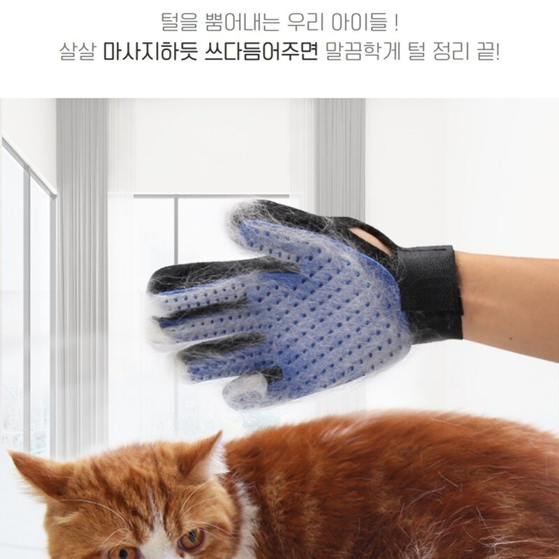 케일 털갈이장갑 애완동물장갑 반려동물 털관리, 왼손형, 1개