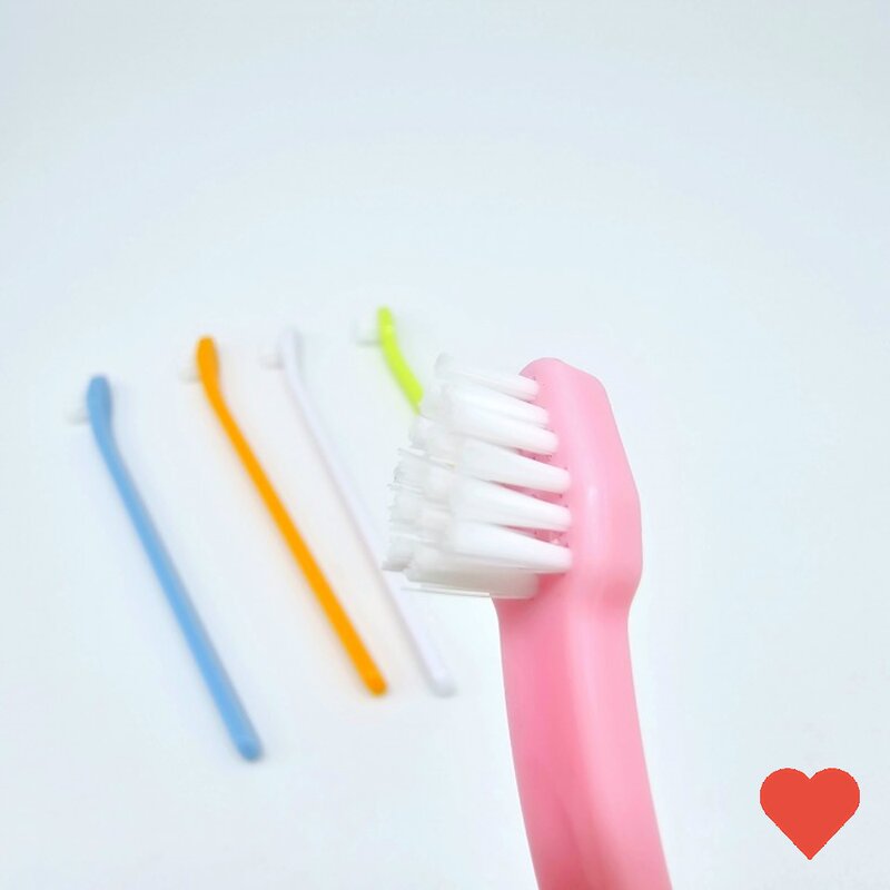 애견 위생용품 강아지 고양이 칫솔 색상, 1개