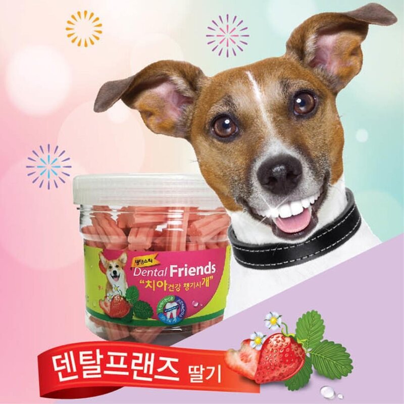 치석제거 민트 블루베리 애견 치약껌 2종set 강아지간식 개용품, 1개