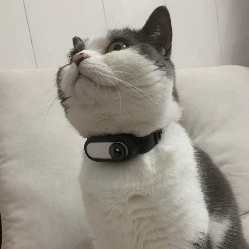 강아지 고양이 바디캠 액션캠 목줄 스트랩 관찰캠, go2 - 블랙