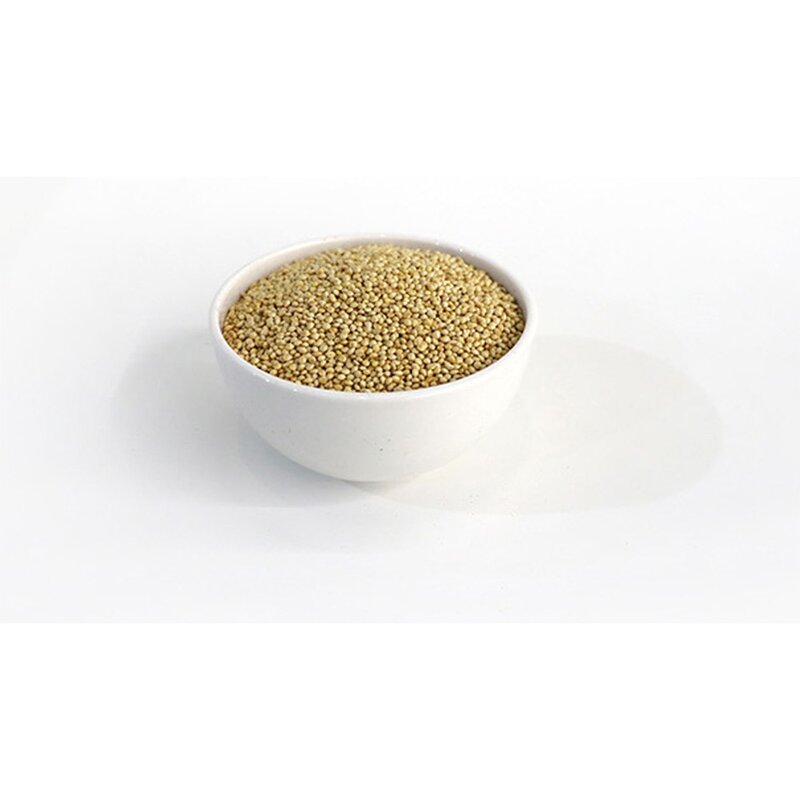 키워쥬 조류 신선하고 알찐 세척 볶음 백기장, 500g, 1개