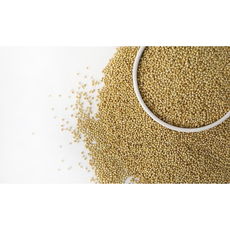 키워쥬 조류 신선하고 알찐 세척 볶음 백기장, 500g, 1개