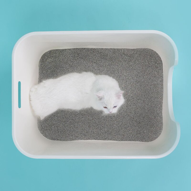 미유박스 고양이모래 울티메이트 벤토나이트 오리지널 6.3kg x 3개