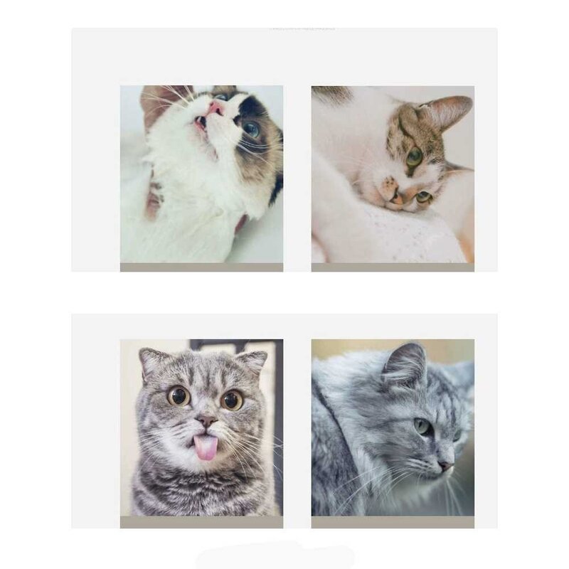 고양이장갑 떠 있는 털을 제거하는 고양이 빗 강아지 털 빗 고양이 용품 애완동물 털갈이 고양이 털 세정제 제모, 빨간 창살 빗