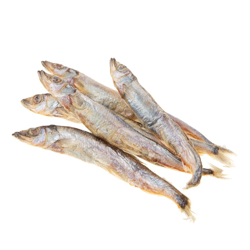 탐사 반려동물 동결건조 간식, 열빙어 트릿, 100g, 1개