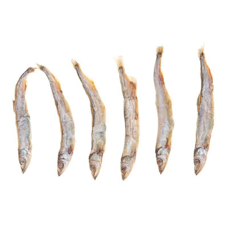 탐사 반려동물 동결건조 간식, 열빙어 트릿, 100g, 1개