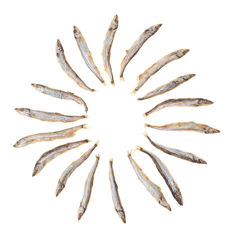 탐사 반려동물 동결건조 간식, 열빙어 트릿, 100g, 1개