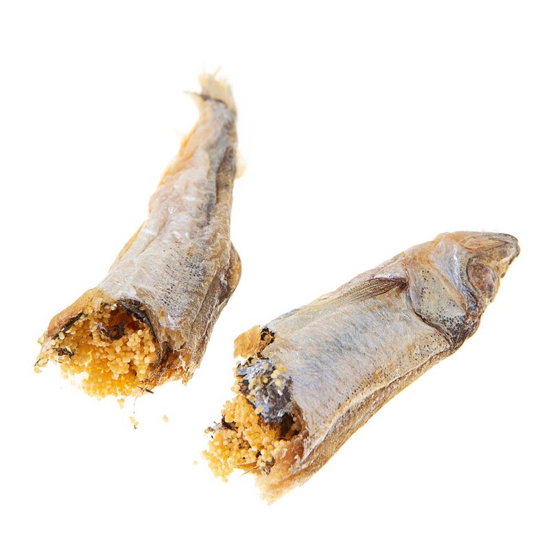 탐사 반려동물 동결건조 간식, 열빙어 트릿, 100g, 1개