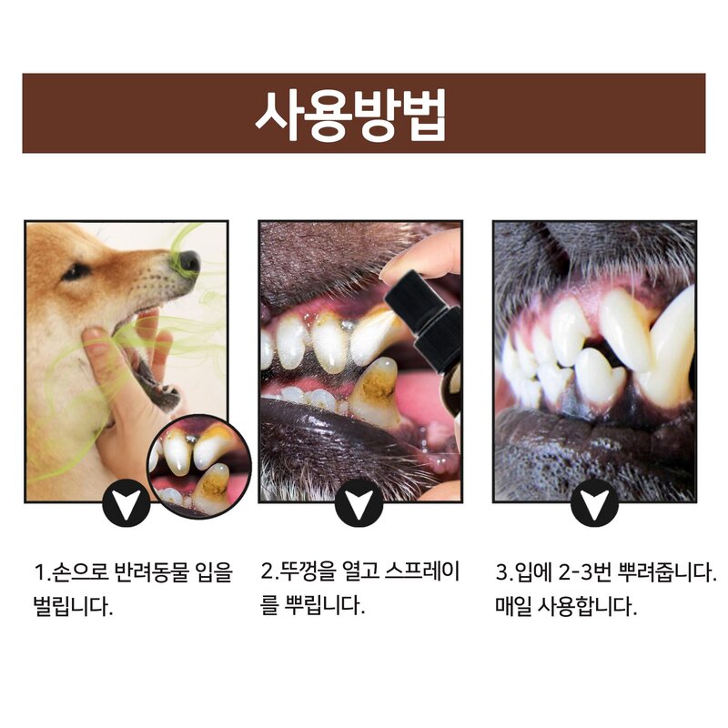 반려 동물 구강 스프레이 D-13, 1개, 30ml