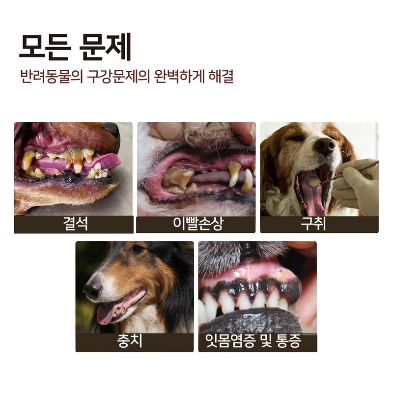 반려 동물 구강 스프레이 D-13, 1개, 30ml