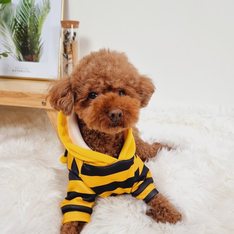 애견의류 기모 꿀벌 후드티 강아지옷