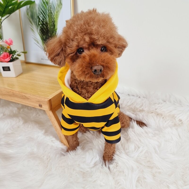 애견의류 기모 꿀벌 후드티 강아지옷