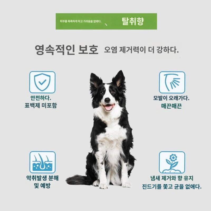 보더워시 전용 강아지 샴푸 워시 프런티어 강아지 탈취 향 남기고 목욕용품, 500ml브러쉬 1병