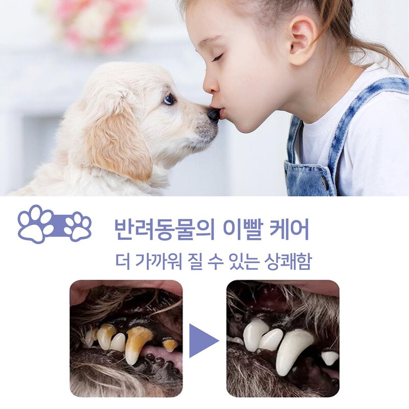 반려동물 구강케어 강아지치석 고양이치석제거 강아지입냄새 고양이입냄새 식물 성분, 1개, 50g