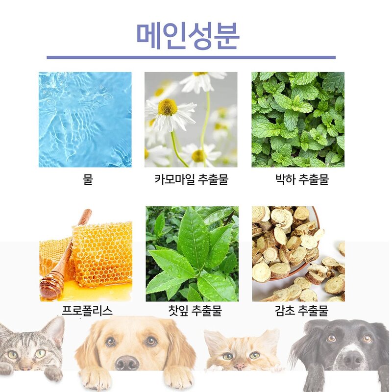 반려동물 구강케어 강아지치석 고양이치석제거 강아지입냄새 고양이입냄새 식물 성분, 1개, 50g