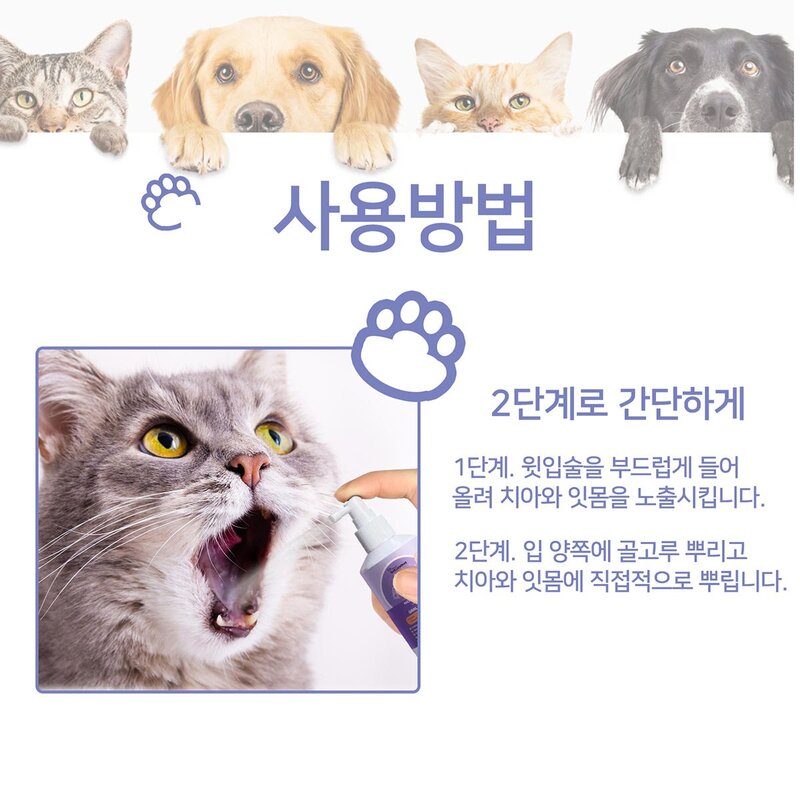 반려동물 구강케어 강아지치석 고양이치석제거 강아지입냄새 고양이입냄새 식물 성분, 1개, 50g
