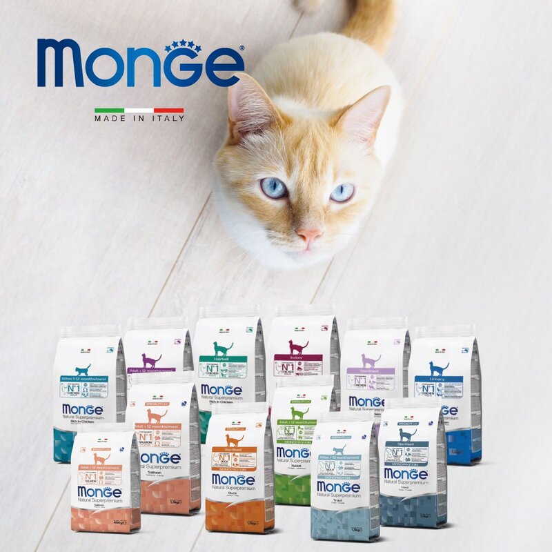 [고양이] 몬지 고양이 사료 샘플 모음, 1개, 40g, 1.(고양이)키튼 치킨, 닭