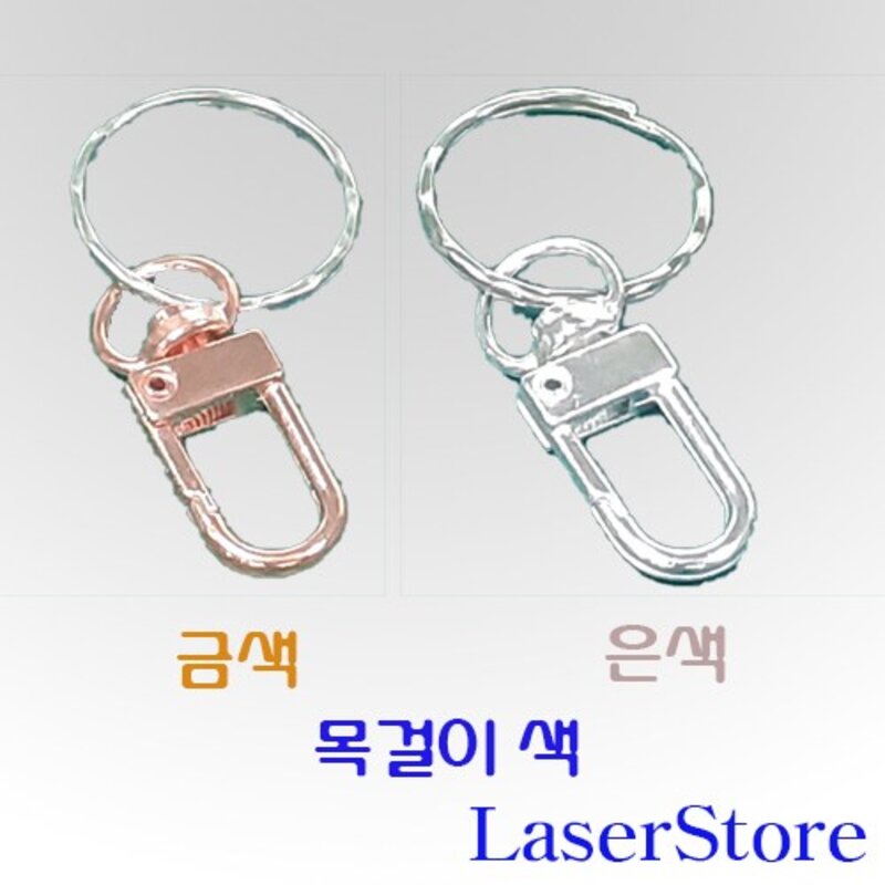 뼈다귀형 인식표 강아지 이름표 고양이 인식표 뼈다귀 메달펜던트 목걸이 반려 네임텍 레이져 각인 PET, HY견명조, 앞1개, 녹색