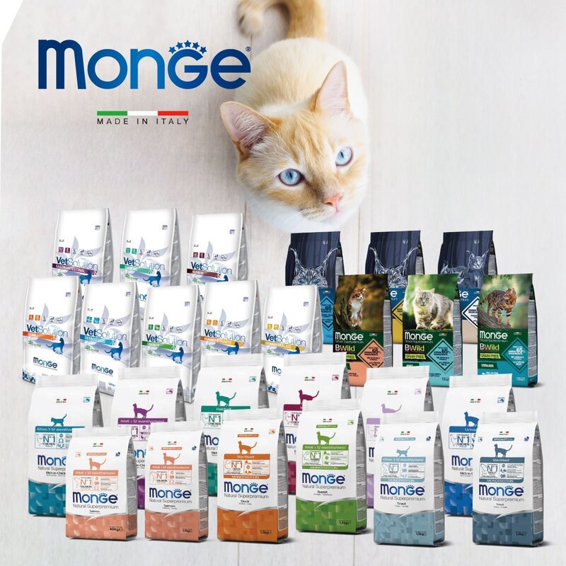 [고양이] 몬지 고양이 사료 샘플 모음, 1개, 40g, 3.(고양이)인도어 어덜트 치킨