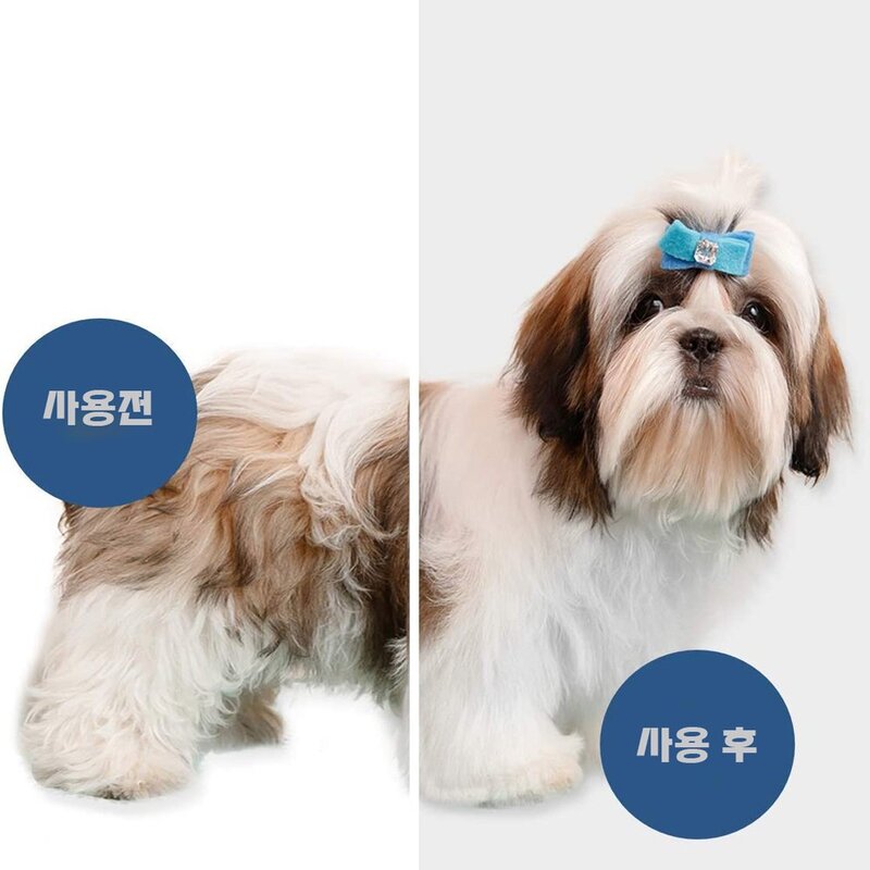 VOVA 반려동물 드라이기 저소음 강아지 고양이 펫 드라이기, 녹색