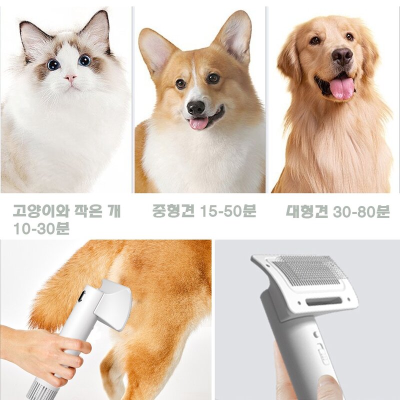 VOVA 반려동물 드라이기 저소음 강아지 고양이 펫 드라이기, 녹색