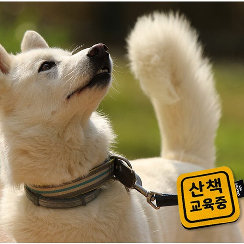 크레이티브펫 산책 메시지 도우미 와펜, 23_사람 좋아, 1개