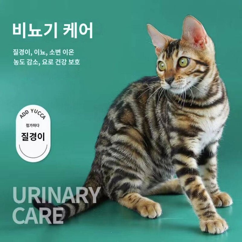 리랑 고양이 플래그십 스토어 고양이 5근 2.5kg 정품 생선 맛 고양이 살찌는 길고양이 범용 고양이, 엘은 소고기 연어 5근을 고양이 로 즐겼다